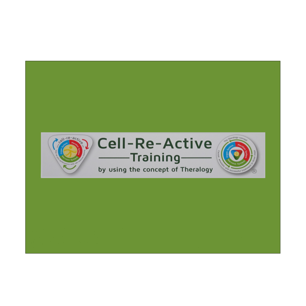 Cell-Re-Active-Training Augsburg, Aufbewahrungsbox für Redater